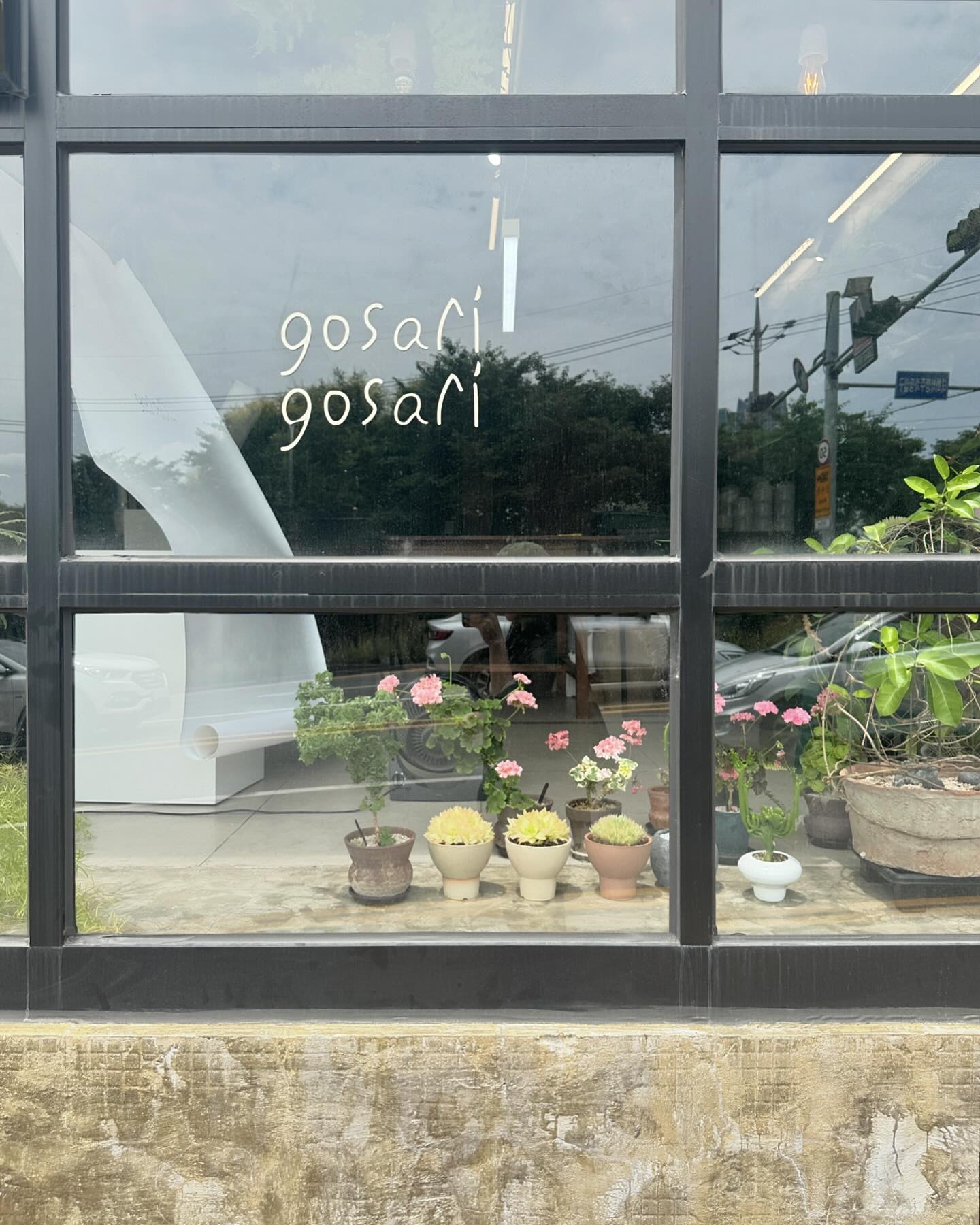 푸릇푸릇 여름이 오는 날 다녀온 고사리꽃방 🌱🪴
우리 집에 새로 온 반려식물 청산호 연필선인장
시들지 말고 오래 살아주길 바랄게 -`♥´-

#고사리꽃방 #울산꽃집 #식물인테리어