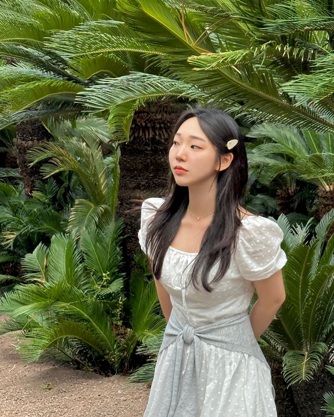 야자수 그득그득🌴