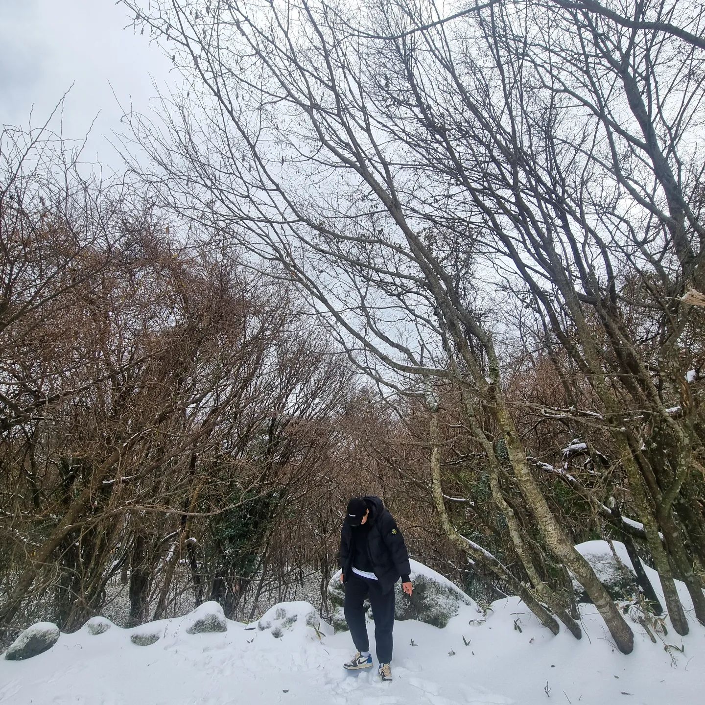 눈보고 신난 촌사람☃️

#제주 #1100고지 #어리목 #눈구경