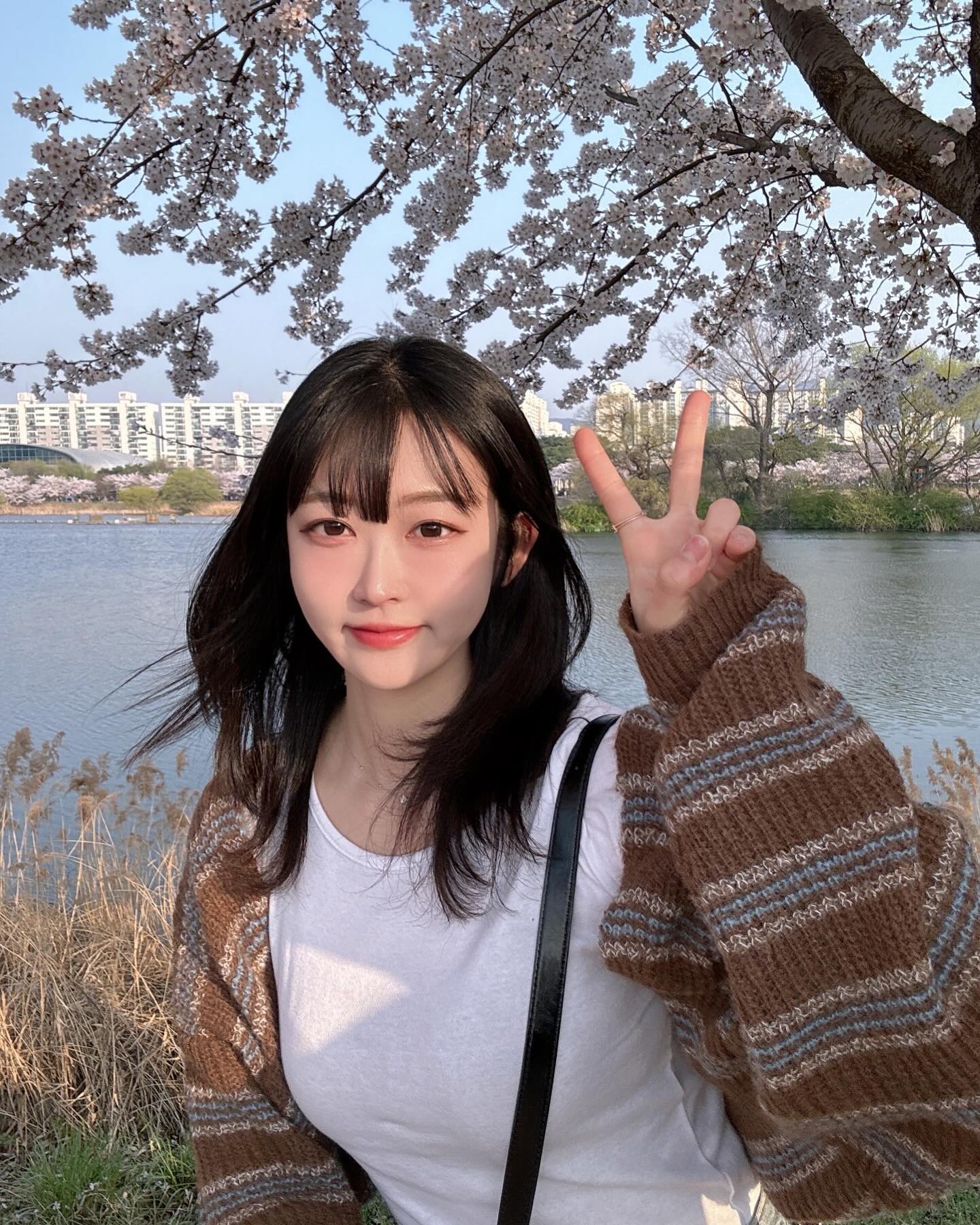 🌸