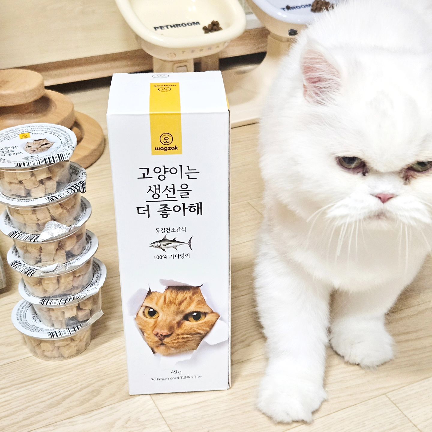 #합찬 빨리안주면 냥냥펀치한다? 🤬😈

무서워서 빨리줘야하는 고양이간식 와그작!!
예전에 연어 사다 잘먹였는데 사은품으로!!
오호~ 아주좋아ㅎ
워낙 아이들이 잘먹었던 브랜드의 간식이라 이번에는 동결건조 간식으로 급여해봤다!!
가장 작은 단위로 소분되어 있어서 맘에들어!!
간식 욕심 많아도 잘 주지 않아 눅눅해져 버리던 지난날 이제 안녕~ ㅋㅋ
휴대하기에도 좋고 5키로 미만은 하루 반컵이면 된다는데 난 더 오래 먹일듯ㅋㅋ
뚜껑도 따로 있어서 남겨도 걱정없다!!

단가를 낮추기 위해서 전분따윈 넣지않았고 조단백 85% 이상의 진짜 원물로 만들어 기호성이좋다ㅎ
계속 졸졸 쫒아다니고 빨리 달라고 아우성 치는거보니 장난기 발동ㅋ
집사들에게 선물 하는 친환경 선물세트도 있는데 가다랑어, 복어, 닭가슴살, 오리가슴살 4종 3개씩 들어있다
누가 우리 냥이들에게 이거 선물해주면 늠 좋을듯ㅋ
완전 만족해!! ㅋ

wagzakkorea 

#와그작 #고양이동결건조간식 #와그작고양이 #동결건조간식 #고양이간식 #와그작간식