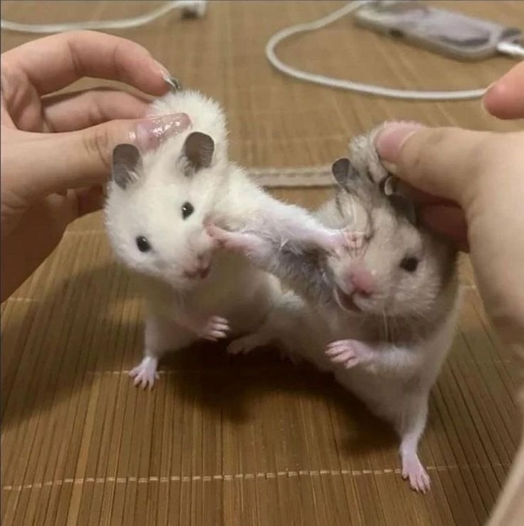 싸우자 인생아