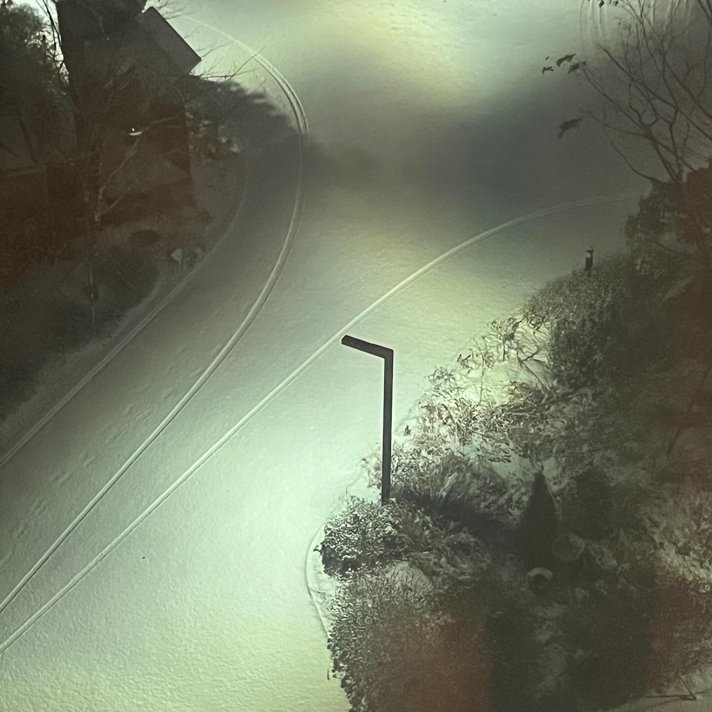 콘텐츠