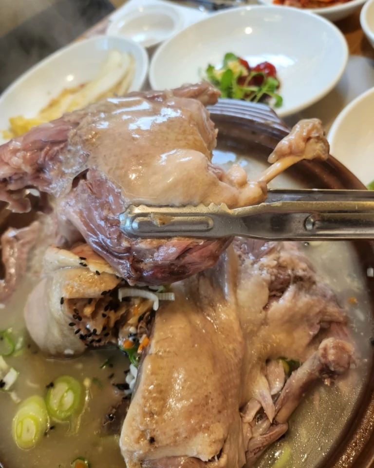 닭백숙 진짜 좋아하는데 여기는 퀄리티가 대박이네요~
입에 넣으면 진짜 살살녹아내리는데 자꾸자꾸 먹고싶은맛입니다!

소주를 부르는 맛인데요!
인테리어도 고급지고 직원들도 친절해서 기분까지 좋아지는곳!

올해 연말모임 여기서 하려고 예약하고 갑니다~

#순천맛집 #순천맛집추천 #순천닭구이 
#순천닭집 #미주농원120 
#순천만맛집 #순천백숙 #순천코스요리