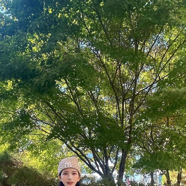  나윤 on Instagram: "#광고 마른파이브의 히트터치 터틀넥 반폴라 티셔츠 ! 부드러운 원단에 가벼운데 따뜻하기까지 해서 이너로 입기도 좋지만 단독으로 입어줘도 너무 좋다아 🤍"