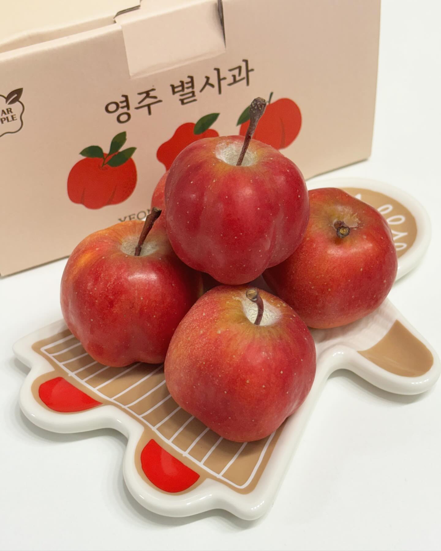 #협찬

별모양 사과가 마음을 사로잡았어요!

영주 가을스타 별사과 먹어봤어요. 어쩜 이렇게 모양이 에쁜지! 예쁜 모양에 단단하고 맛까지 좋더라고요.

농사지음은 로컬보다 신선하고 마트보다 저렴한 상품을 온라인에 맞게 제안하는 온라인 커머스로, 별사과를 판매하고 있어 눈여겨 봤어요.

패키지부터 아기자기해서 마음에 쏙! 1kg인데 제법 많이 들어있더라고요. 주변에 선물하기에도 딱 좋겠어요!

영주 가을스타 별사과는 소백산의 일교차와 맑은 물로 재배했으며 18-20브릭스로 당도도 아주 높습니다. 먹어보니 단단하고 아삭아삭 식감도 좋았어요.

수년간 농부의 집념과 연구 개발로 얻어진 별사과! 청량한 가을 밤하늘의 별을 닮은 가을스타입니다.

👉nongsa_jiium

#nongsa_jiium #농사지음 #별사과 #가을스타 #사과 #영주 #별모양 #영주별사과 #먹팔 #먹팔해요 #먹팔환영 #먹팔맞팔 #먹스타그램 #먹스타 #먹스타맞팔 #푸드 #푸드스타그램