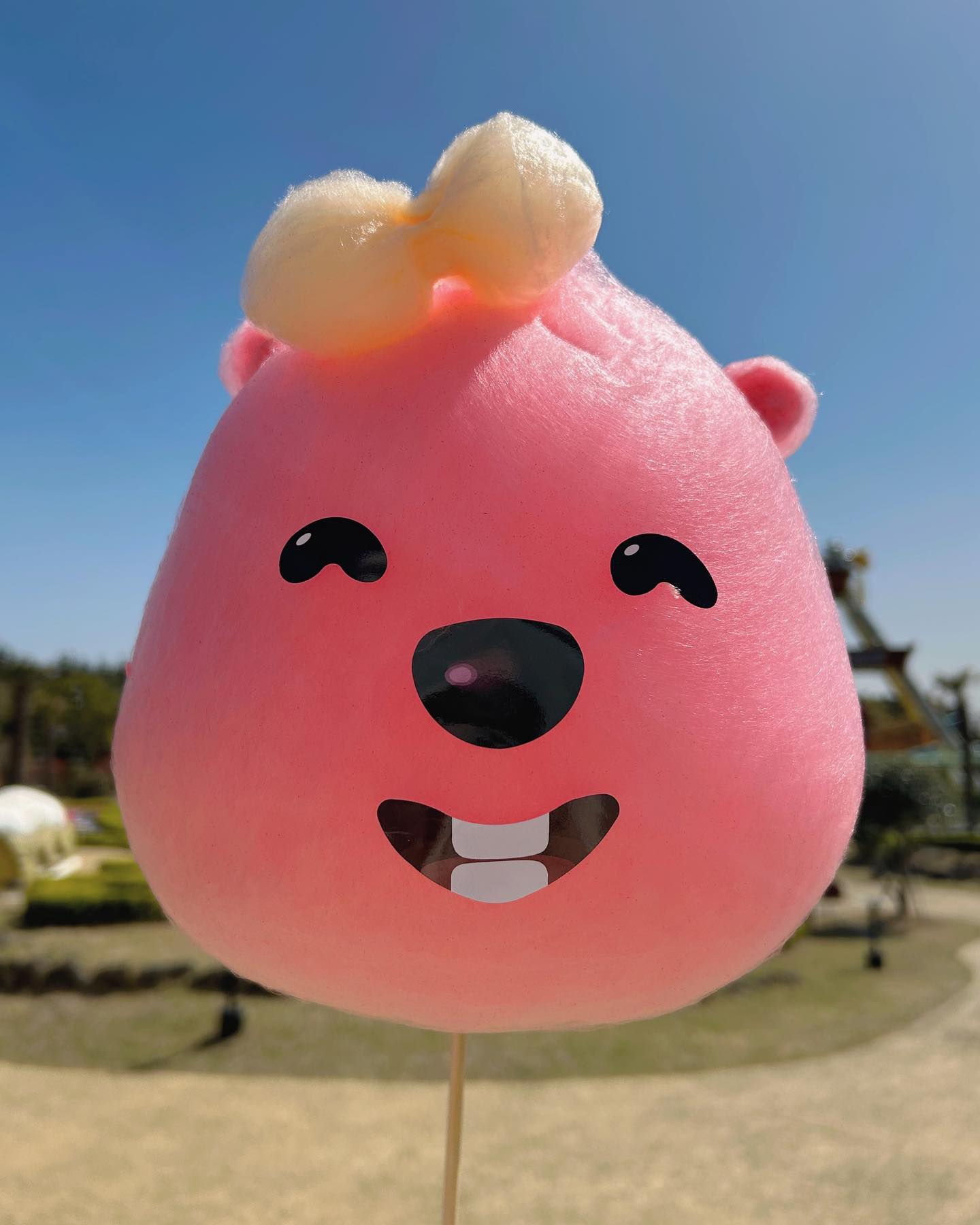 제주도 뒤죽박죽 사진
1-#뽀로로테마파크제주 
루피 솜사탕이라니, 왜 더 맛있는거 같지
2,3,4,5-#고집돌우럭 
이시후의 배추/김 먹방
6,7-#제주돗 
고기집뷰가 예술이야, 노을보며, 애들 뛰놀면서 먹는 흑돼지!! 
초벌해서 나오니까 아기 있는분들 왕추천👍🏻