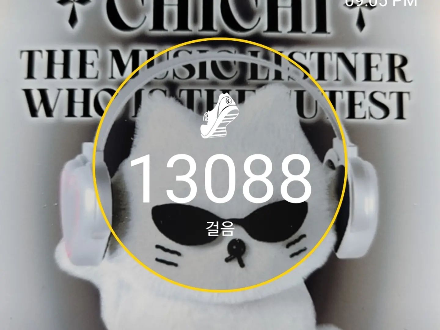 딥다로 12000보이상걷기