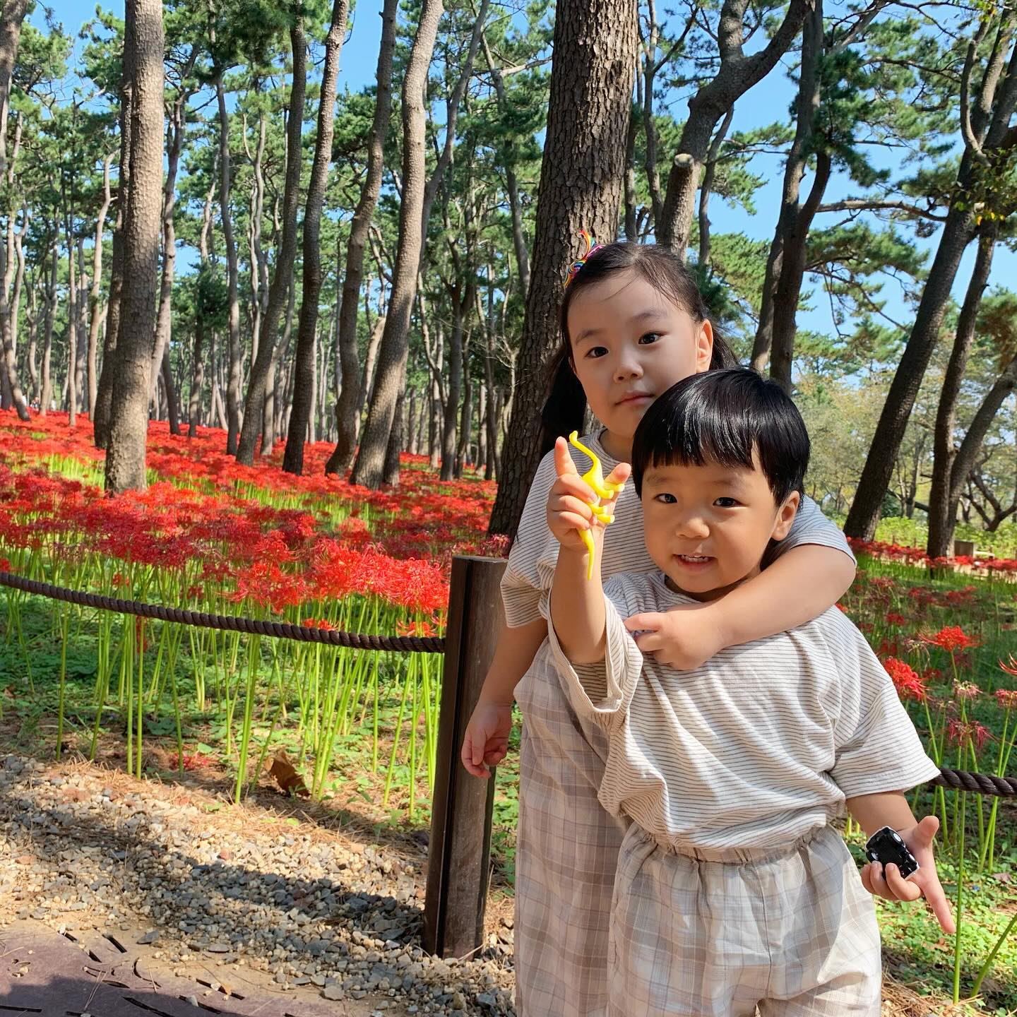 🤍
하루에 만보 넘게 걸었던 울산 나들이 ❤️‍🔥
⠀
대왕암 보구
회를 무쟈게 먹었는데 사진이 .. 없네ㅠ
진짜 미치도록 먹었다 턱끝까지 차도록 회를 먹다니...
가을전어는 구이 말고 회로 먹어야함
생각하니 또 먹고 싶네....짱맛.. 😭
회 먹고 또 카페 가서 흡입하구
국가정원서 밤마실 갔다가
돌아와서 치킨피자파티 하구 🤣
하루에 다 함 ㅋㅋㅋ
2주 동안 샐러드만 먹은거 다 도루묵🤪🤪🫠
근데 사진 다 어디갔우ㅠ🥲
⠀
숙소도 만족 !
그리고 날씨도 딱 적당할 때 다녀와서 최고였다!
무엇보다 여행 내내 아이들이 아프지 않아서 감사 또 감사
지금껏 여행다니며 처음으로 안 아팠다👍🏻
넘 맛나고 재미났던 울산 여행 ❤️🩷❤️🩷
⠀
⠀
⠀