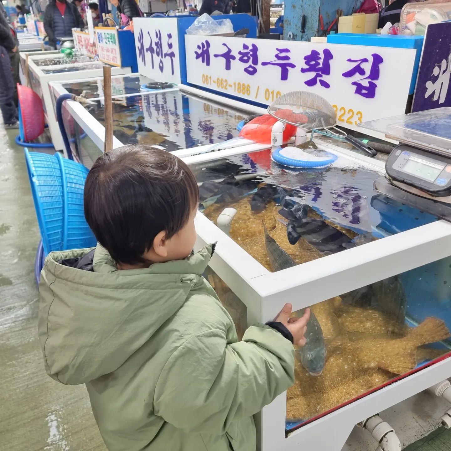 여수 여행 𝐏𝐚𝐫𝐭 𝟐_𝟏⠀
⠀
⠀
오동도 갔다가 수산시장 갔다가⠀
숙소로 도착!⠀
⠀
이틀 째 수산시장에서는 ⠀
광어와 함께 하루 마무리👍🐟⠀
⠀
⠀
아기사자랑 커플티입고 갔다왔는데⠀
사진으로는 잘 안담기네😥⠀
그래도 열심히 찍어보기👍⠀
⠀
⠀
⠀
⠀
⠀
📍수산시장⠀
전남 여수시 여객선터미널길 24⠀
▪️수산시장 안에 많은 곳들이 있어요!⠀
▪️송경희 갓김치 추천⠀
(갓김치, 간장게장)⠀
▪️대구형두횟집_저희가 회 뜬 곳인데 좋았어요!⠀
▪️카드&현금 다 사용가능⠀
⠀
⠀
⠀
⠀