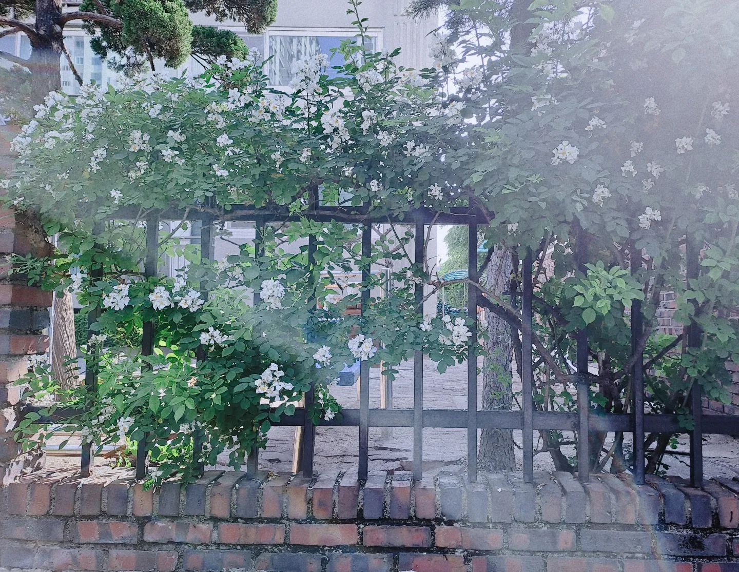 📷

#취미  #사진  #풍경 #04