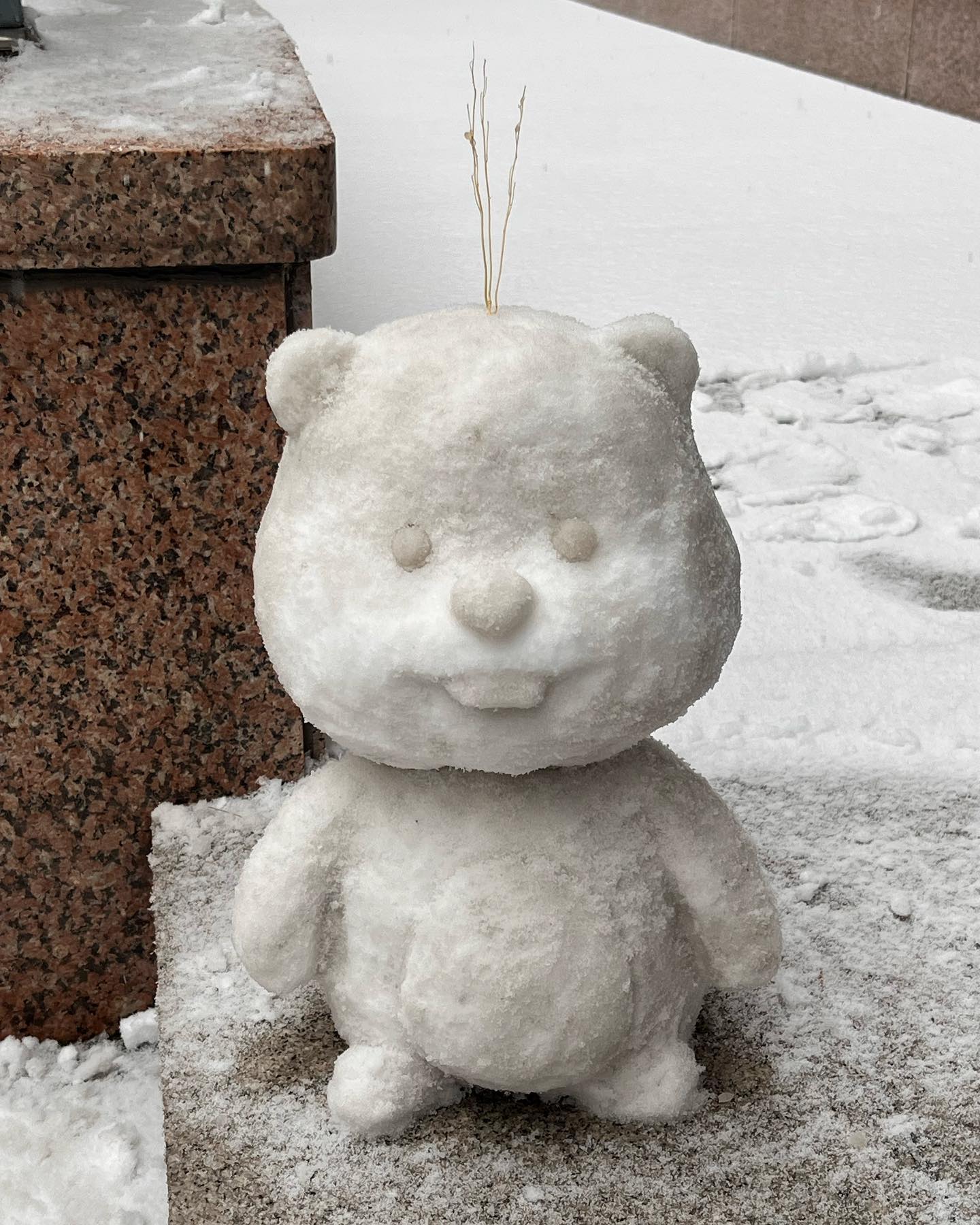 눈 펑펑온김에 루피 눈사람 만들기 ☃️
두시간 걸렸다🥹