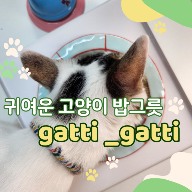 고양이식기 귀여운 고양이 밥그릇 - 가티가티