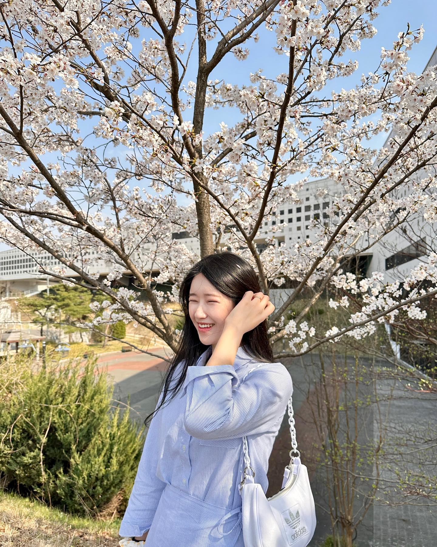 버꼬츠🌸