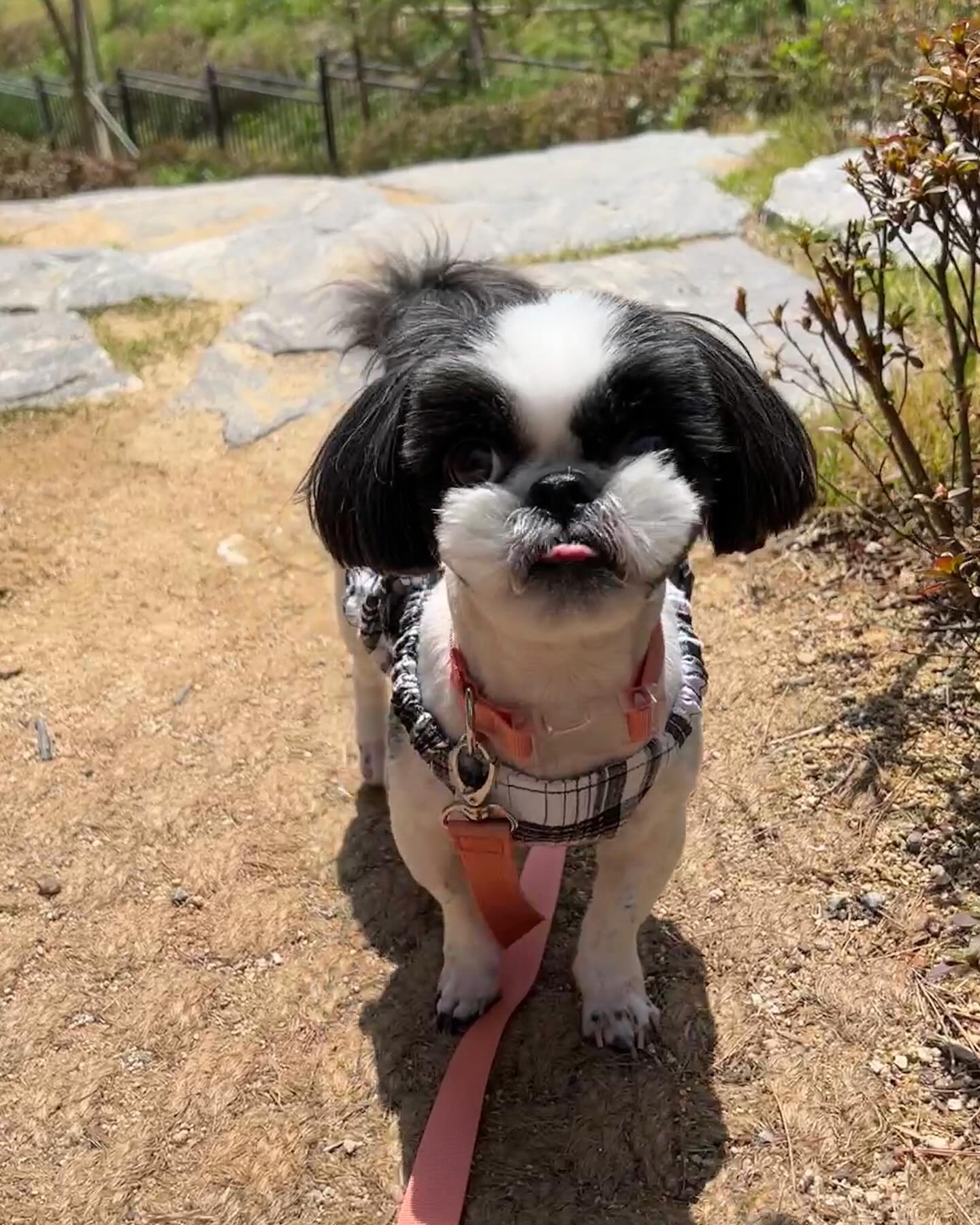 고운 자태로 넘어갈듯 마킹하기 🐼
