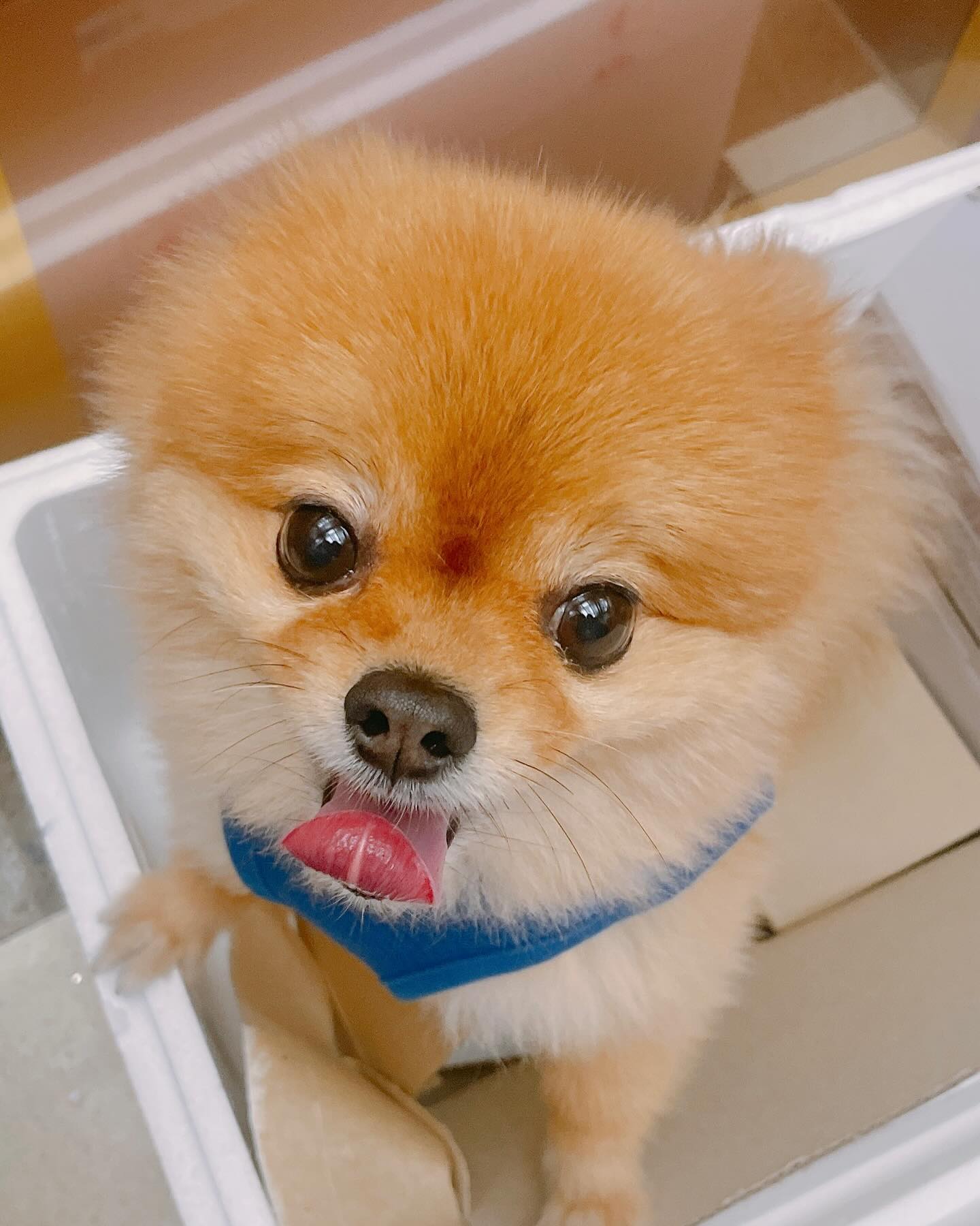 🥰🥰🥰
