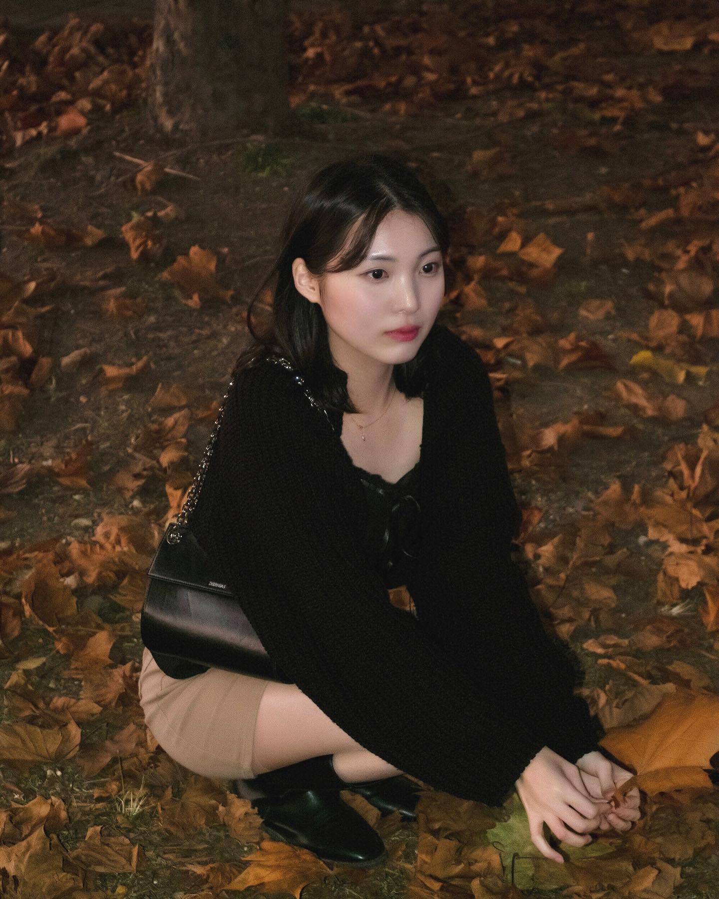 낙엽 파티 🍁🍂
