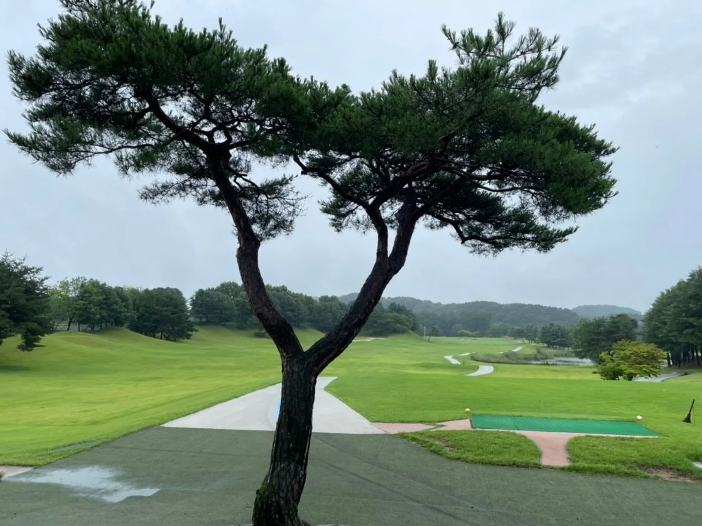 ⛳️즐거웠다 오늘도 ㅋ