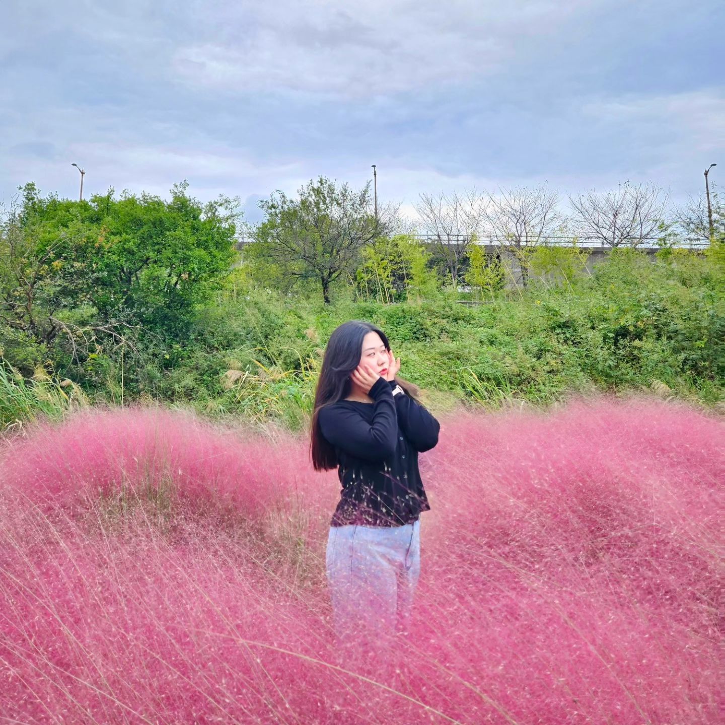 #핑크뮬리 #대저생태공원