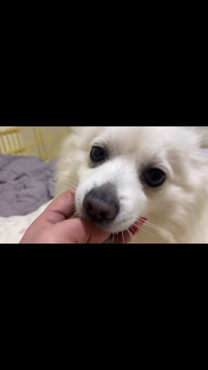 콘텐츠