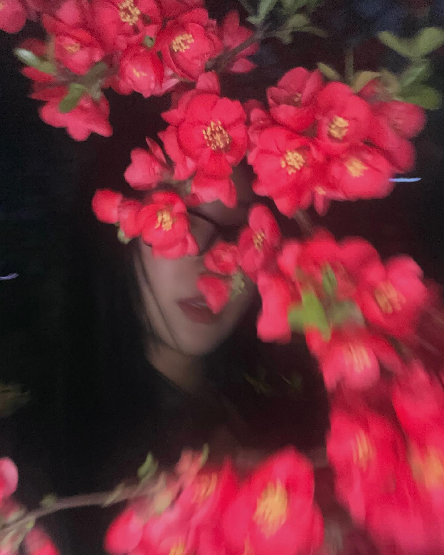 .. 🌺 홍 매 화