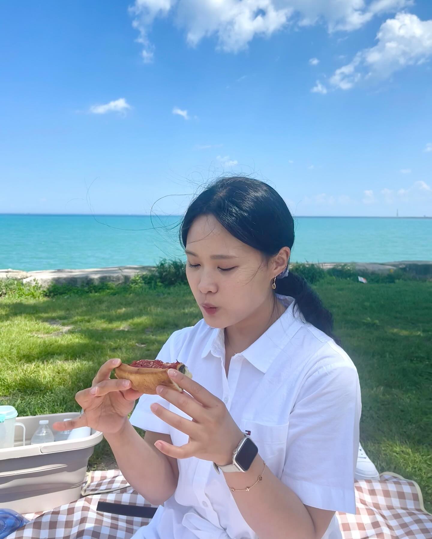 Life is a picnic 🧺🌻🍃
#picnic #spring #chicago