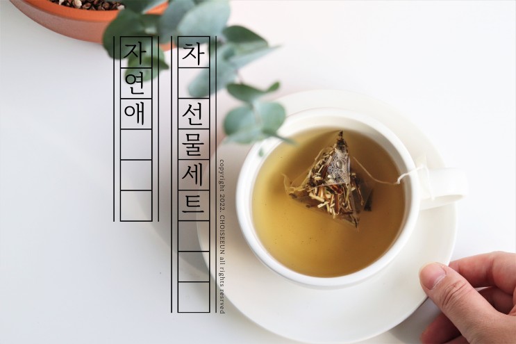 정년퇴직 선물로 좋은 자연애 차 선물세트