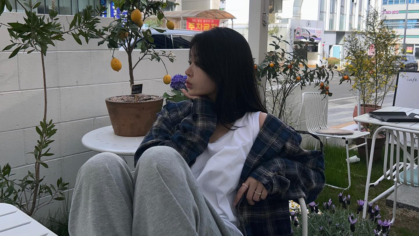 레몬 나무 귀엽찌 (灬╹ω╹灬)