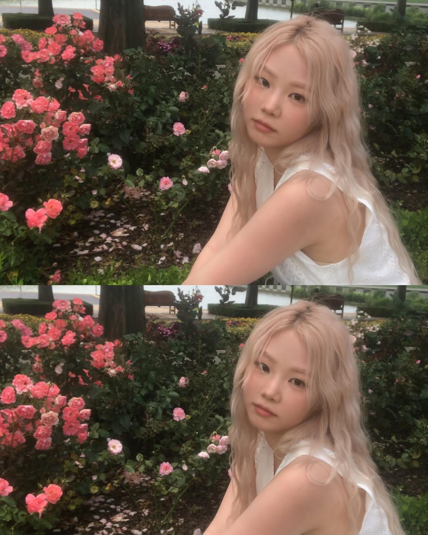 🌷A dandelion in a rose garden🌷

다음에는 다른 테마 존도 가봐야징😋