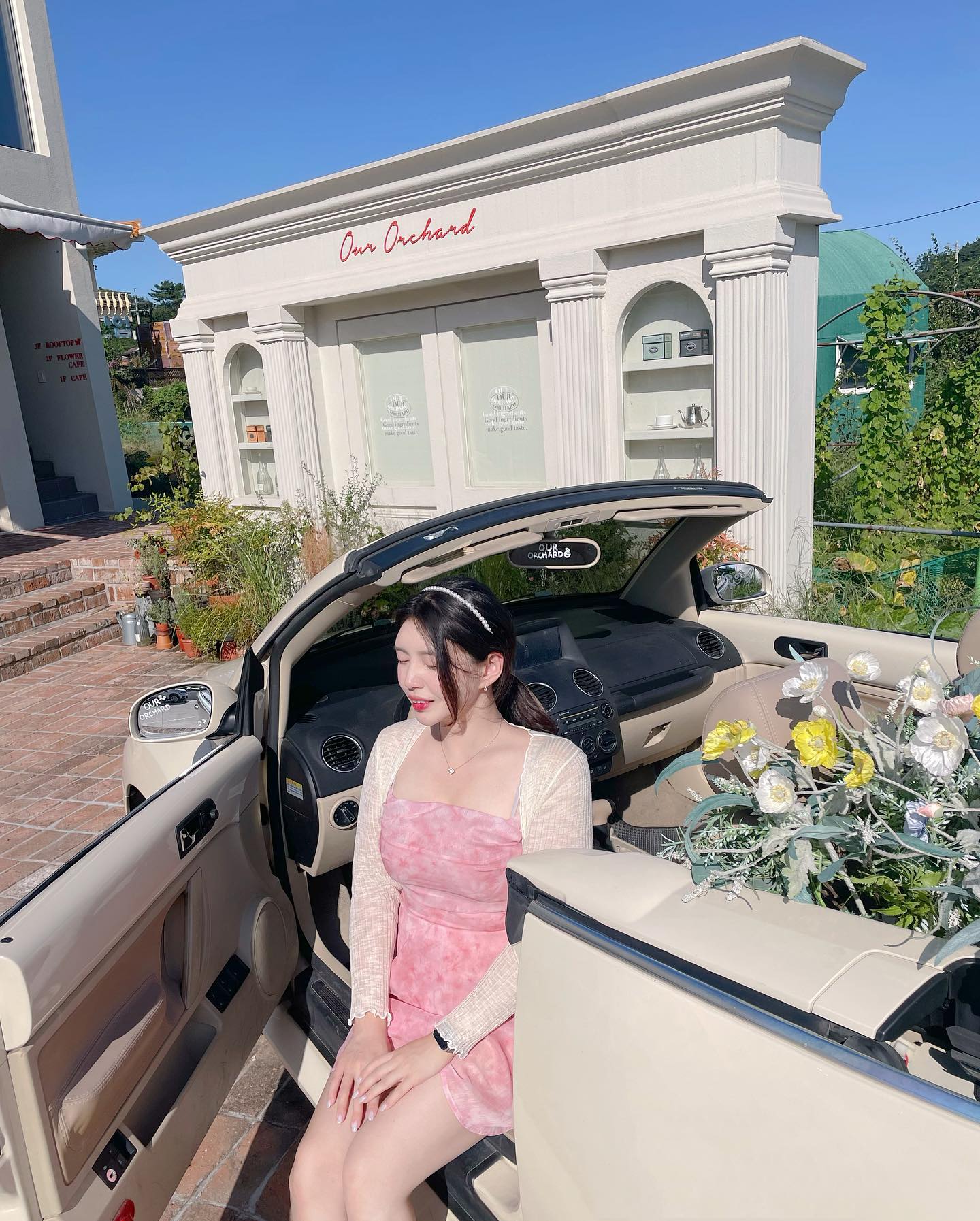 유럽아니고 한국🌷