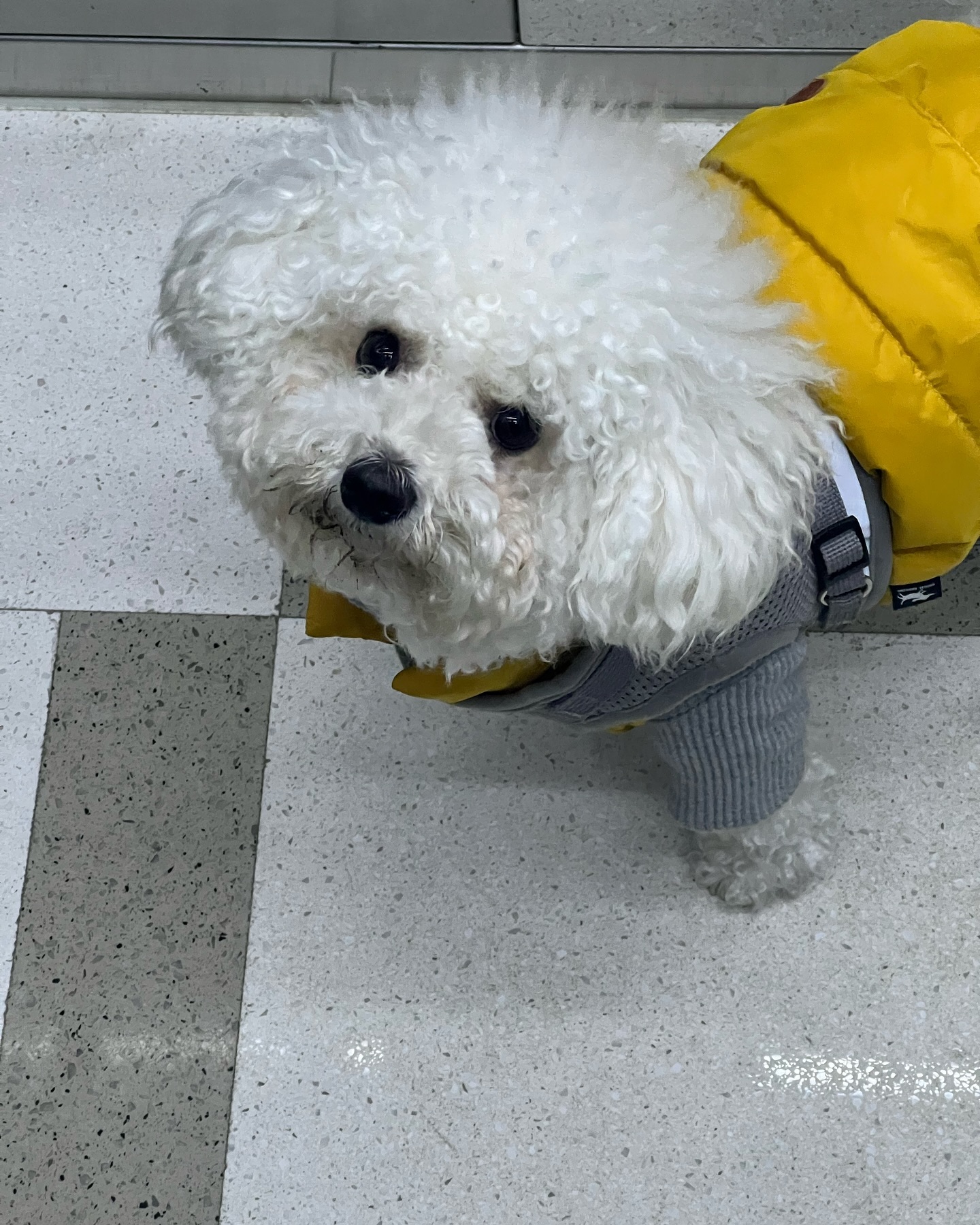 박사님 오늘은 어떤 실험에 실패하셨나요☁️
