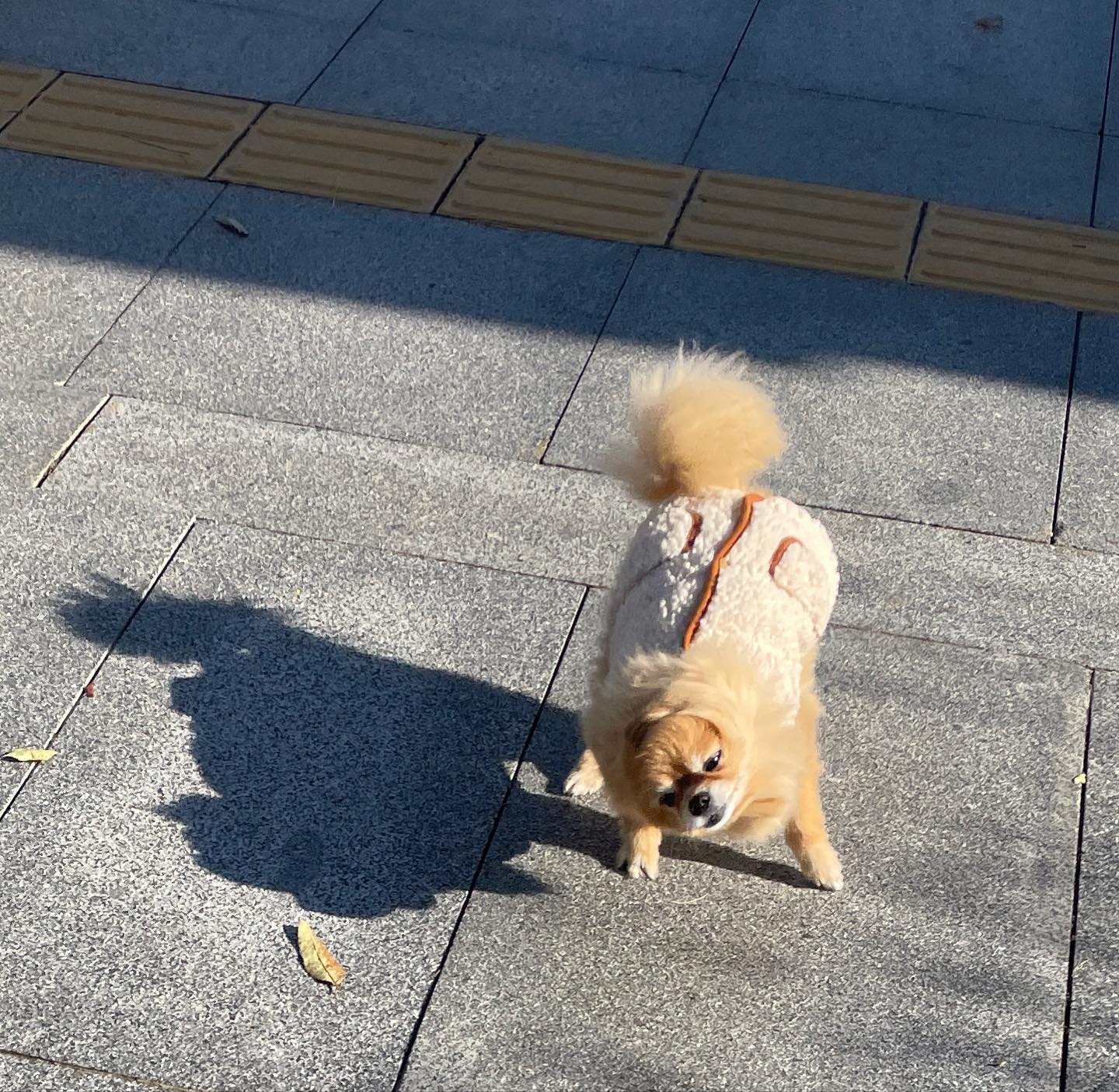 도리도리.(?).