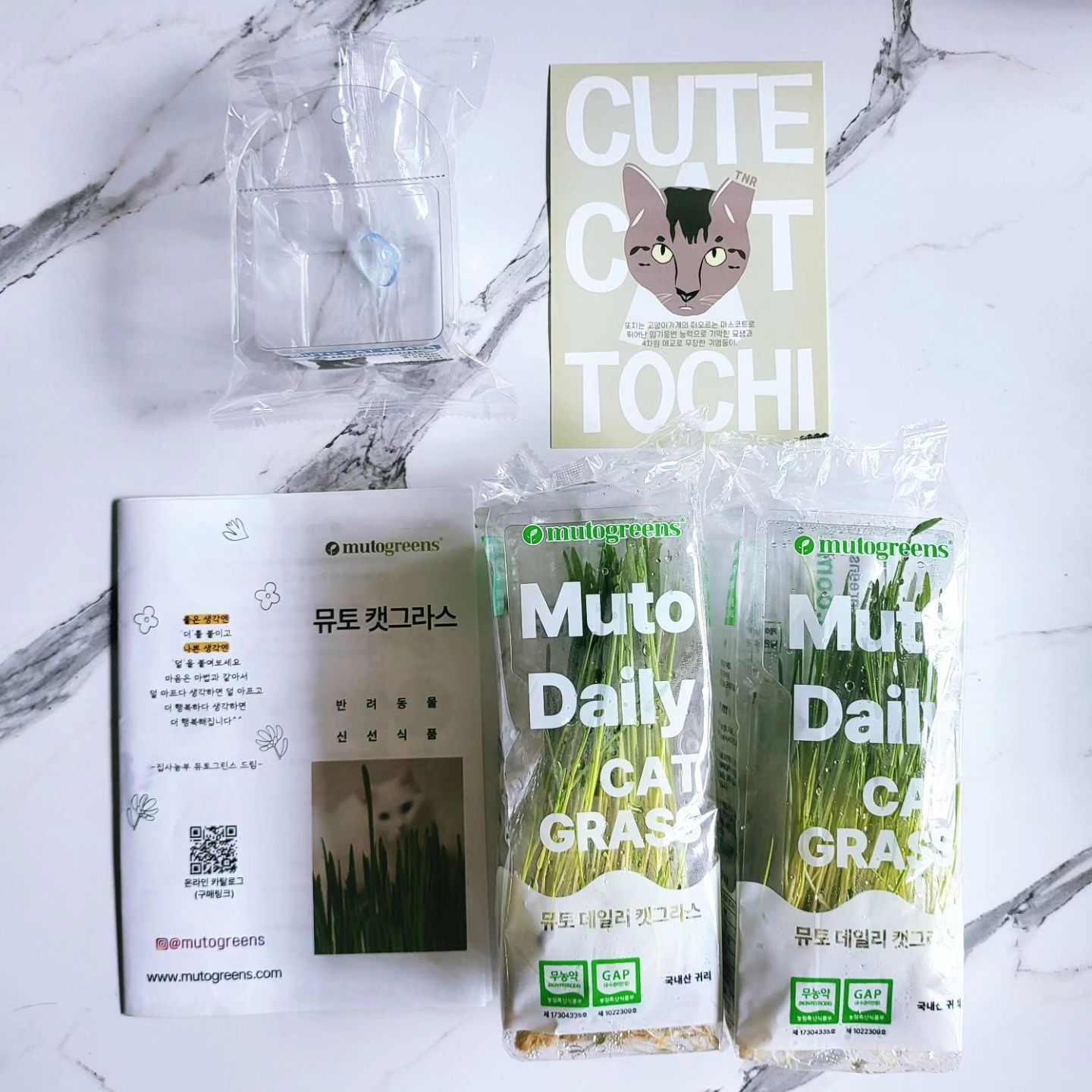 #협찬 mutogreens 
건강한 고양이 간식
뮤토그린스 데일리 캣그라스 귀리🌿

물로만 재배되어 안전하고
친환경인증에 GAP 인증까지
울집 냥이에게 믿고 먹일수 있는 캣그라스👍

비닐포장상태로 냉장보관으로 장시간
보관도 용이 하며 유리에 붙이는
전용 창문걸이 화분을 통해서
울 냥이가 맛나게 냠냠하는
모습을 관찰 할수있는게 포인트!!😍

그동안 화분에 심고 잘라서 줬었는데
뮤토그린스 데일리 캣그라스는
흙이 묻어있지 않아 먹다가
엎어져도 청소가 필요 없네요

신선한 캣그라스를 울집 냥이에게
주고싶은 집사님들께 추천드려요
https://smartstore.naver.com/catdaddy/products/7152348819?nt_source=cloudreview&nt_medium=exp&nt_detail=20240513
#캣그라스 #고양이캣그라스 #고양이풀 #캣글라스 #캣그라스키우기 #고양이간식 #캣닢키우기 #고양이간식추천 #뮤토 #뮤토캣그라스 #뮤토데일리 #데일리캣그라스 #뮤토그린스 #캣그라스먹방