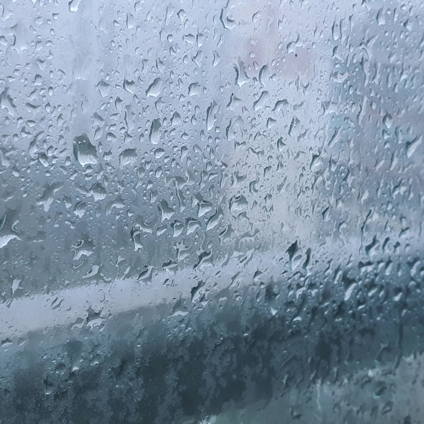 ☔️
폭우속 매미 발견.!
어쩌다 13층 방충망에 붙어 있는거니?
빗소리 때문인지 매미소리도 안들리네~
하마터면 문 열어줄뻔~~ㅋ

#매미야
#힘내라매미
#폭우