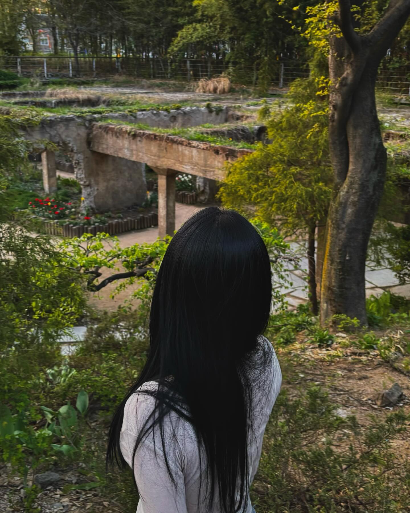 지브리같았던 서울숲 🌿