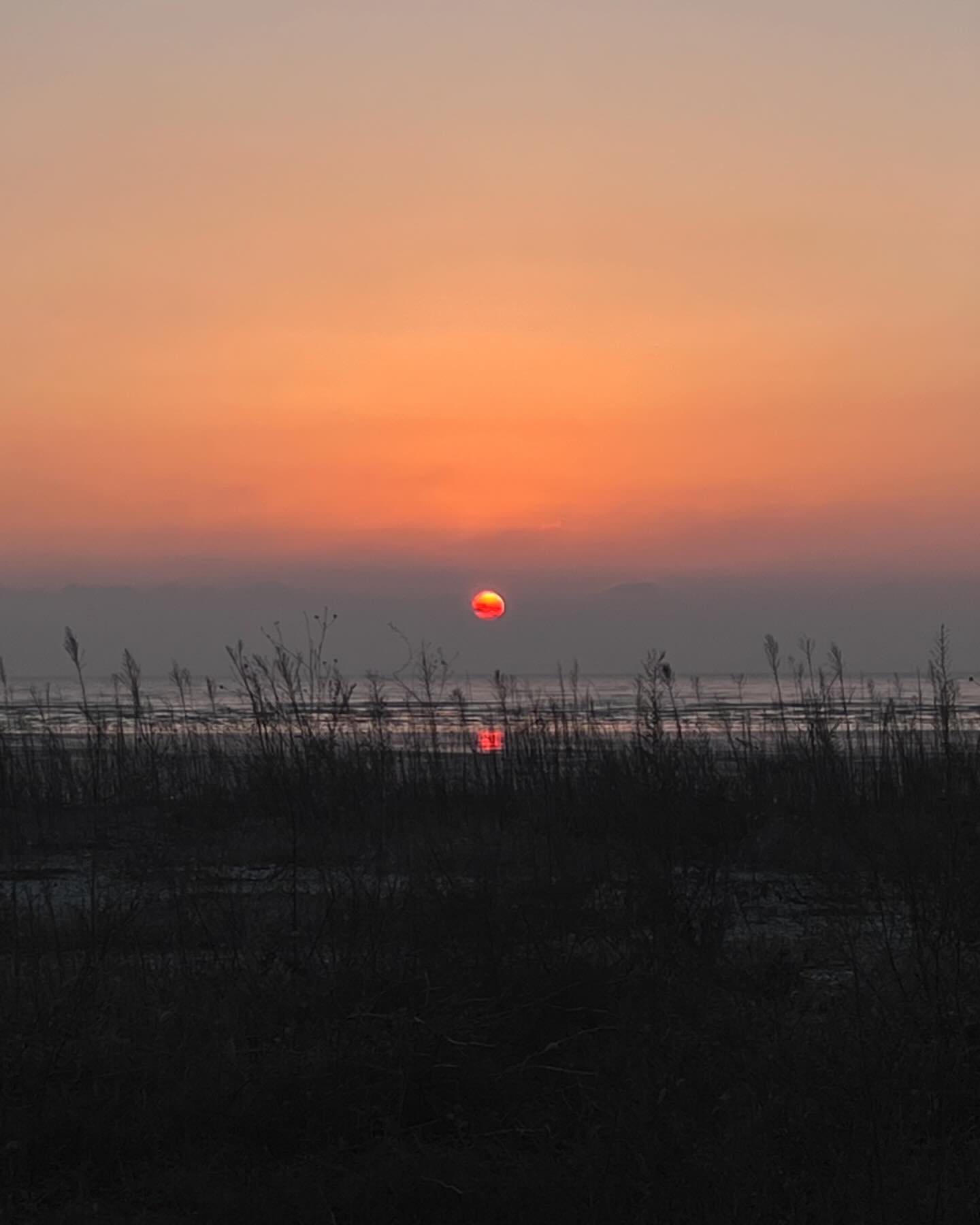 23년 마지막 해님과 24년 첫 해님까지 전부 포착 완료! 🌞
새해부터 따뜻한 인사들 진짜 너무 고맙고, 내 사람들 다 새해 복 많이 받으세요 🫶🏻 (물론 내가 조금 더 받을 생각임)
여하튼 어찌어찌 23년도 잘 견뎌내고 보내온 만큼
24년에도 불행한 일보단 행복한 일이 더 많고 웃을 일 많은 한 해로 보내고,
크게 아프거나 다치는 일 없이 금방 털고 일어날 수 있는 딱 견딜 수 있을 정도로만 덜 힘들고 덜 아픈 정도의 일만 있었으면 좋겠습니다아!
꼭 다들 건강하고 좀 더 사랑이 많고 발전해나가는 사람이 될 수 있도록 해주세요!
적게 일하고 엄청 많이 벌자 내 사람들! 💜