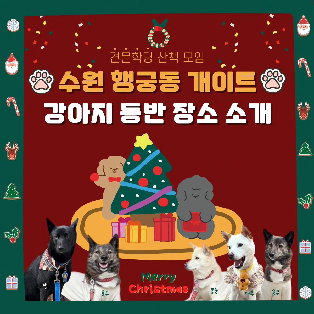 🐾 수원 행궁동 개이트 🐶💕

주말에 용우, 별이, 봉순, 대추와 산책 모임을 가졌어요.🐕
다들 처음 보는 사이라 거리를 두고 산책을 하며 친해지는 시간을 가졌습니다. 🐕
처음에는 경계했지만 2시간 정도 같이 산책하니 서로 자연스럽게 냄새도 맡고 타견 짖음에도 크게 반응하지 않게 되더라구요❗️
용우에 대해서 더 많이 알수있었고, 댕댕이 친구도 만든 즐거운 시간이었어요.😆

행궁동에 공원도 많고, 중간에 강아지들과 방문할 수 있는 장소도 있어서 개이트 계획 중인 분들에게 코스 추천해요. 🌟

자세한 블로그 후기도 커밍쑨-❗️ 

🌟 산책 모임 멤버 모집 🌟
온리쉬 상태에서 같이 산책하며 친구가 될 강아지를 찾아요.🐶
단, 흥분도 관리를 위해 산책 중간에 기다리는 시간을 가질수도 있습니다. 기다려 훈련이 된 친구들만 참여 가능해요.🫶
관심 있는 댕댕이는 오카방 참여 문의 👉 _km_hd_

#견문학당 #산책모임