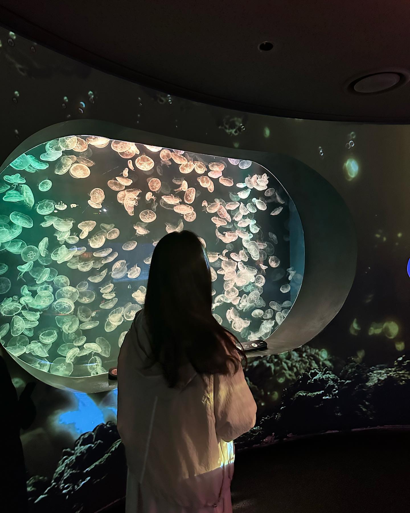 🫧인어겅듀랑 수달 영접🫧
인어공주 영화 때리고 아쿠아리움 코스 어때유
　
　
📍63빌딩 아쿠아플라넷(B1층)
•1시간마다 인어공주 공연
•설명회/공연 생략 시 1시간 내로 빠른 구경 가능
•입장권 kkday에서 입장 1시간 전에 구매하면 음청 쌈
•지하 2층부터 주차(기본 무료 1시간)
　
#63building#koreatravel
#아쿠아리움#63빌딩아쿠아리움
#인어공주#littlemermaid
#인어공주공연#실내데이트
#여름데이트#seoultrip