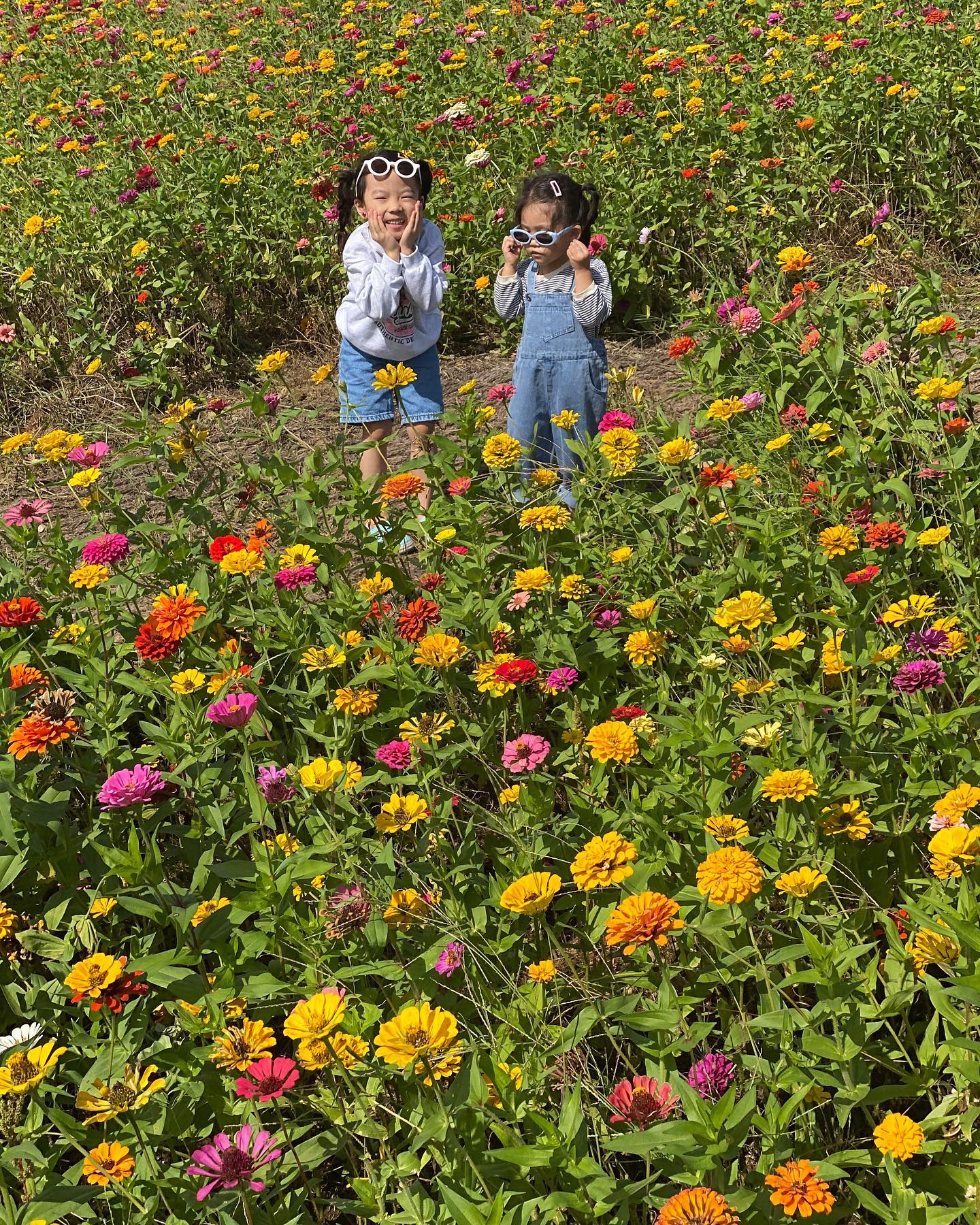내년에 또 가자 🤭🧡