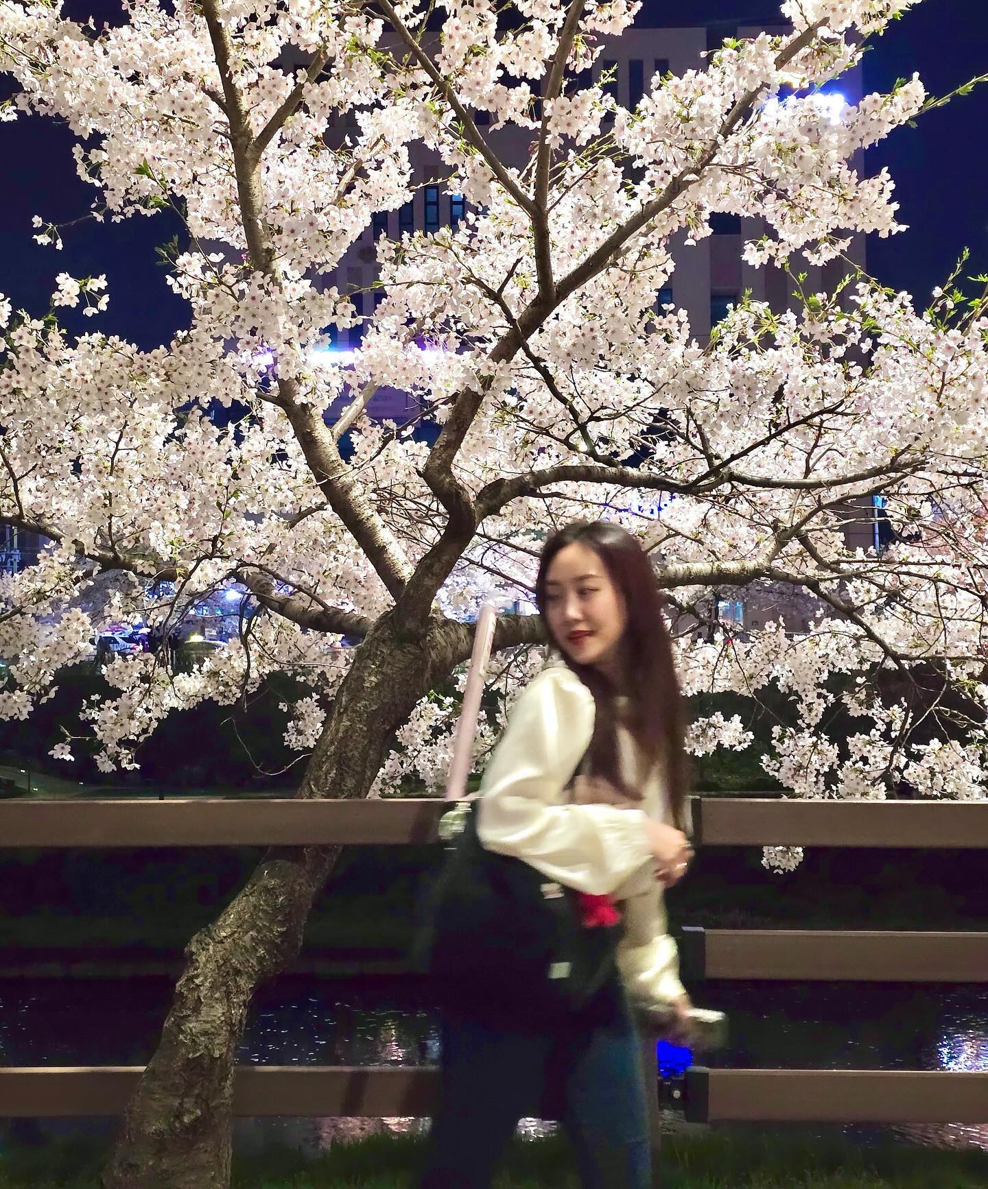 이제 벚꽃엔딩🌸