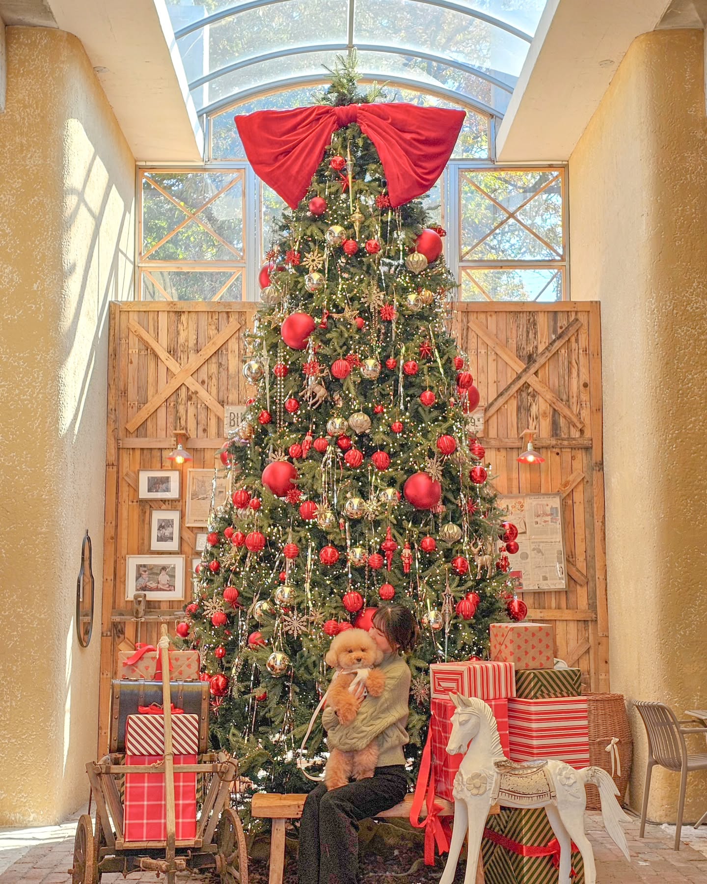 #🎄
마이도 있어요 트리샷..✨️
미리크리스마스 였지만 인태기 때문에 이제야 올림ㅎ
한번 손 놓으니 힘드네..

저는 크리스마스에 곰인형 선물을 받았답니당 🐻
haha 🎁

#트리맛집 #투하츠베이커리 #애견동반카페 #크리스마스 🎅🏻
