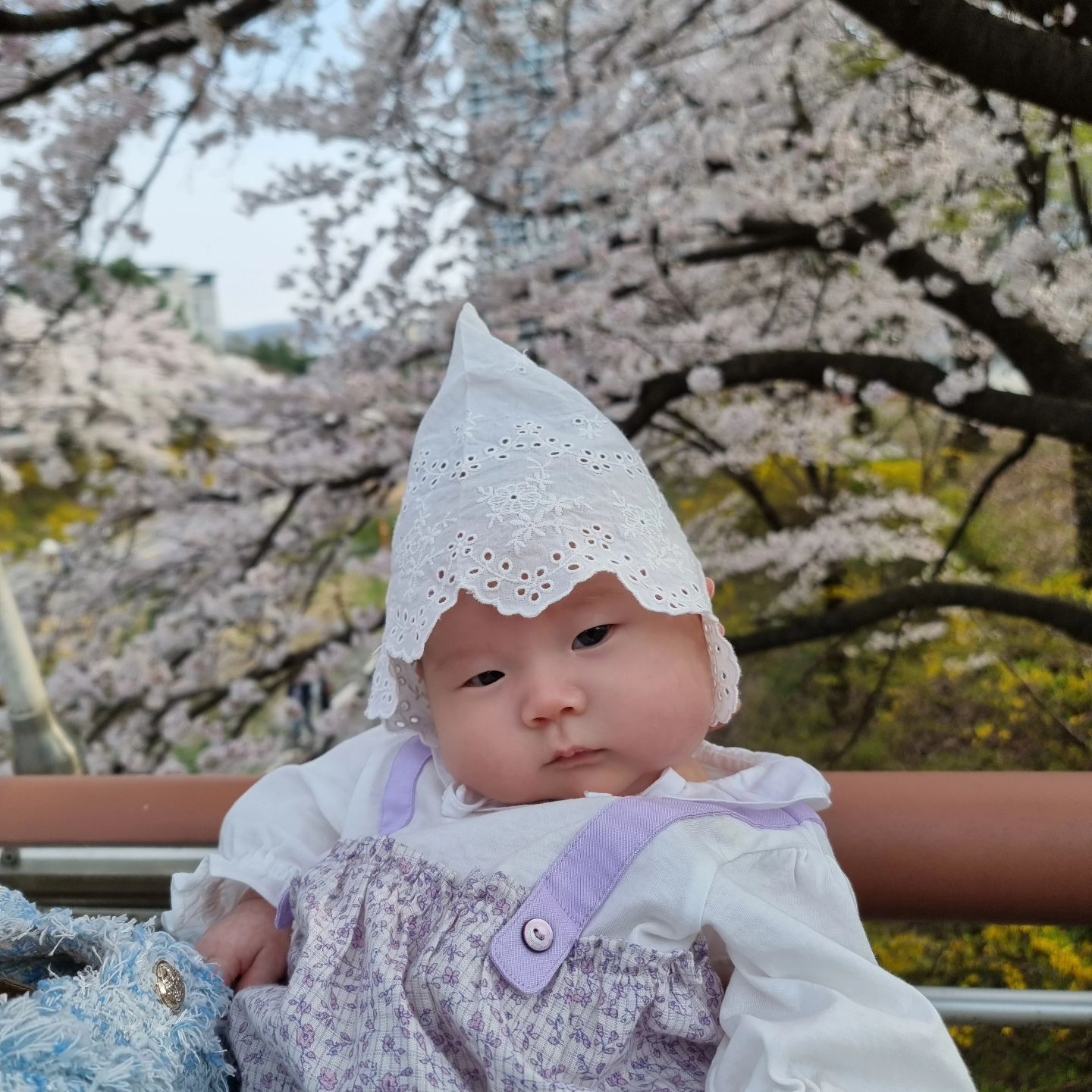 올해는 셋이 함께 맞이하는 봄🌸👨‍👩‍👧
건강하게 무럭무럭 열심히 자라고있는 내새꾸❤️
그리고 늘 힘이되어주고 최선을 다해주는 내 육아동지
남편🫶❤️사랑합니당❤️
.
.
#벚꽃구경 #육아스타그램 #육아그램 #육아기록 #벚꽃명소 #가족스타그램 #신생아스타그램