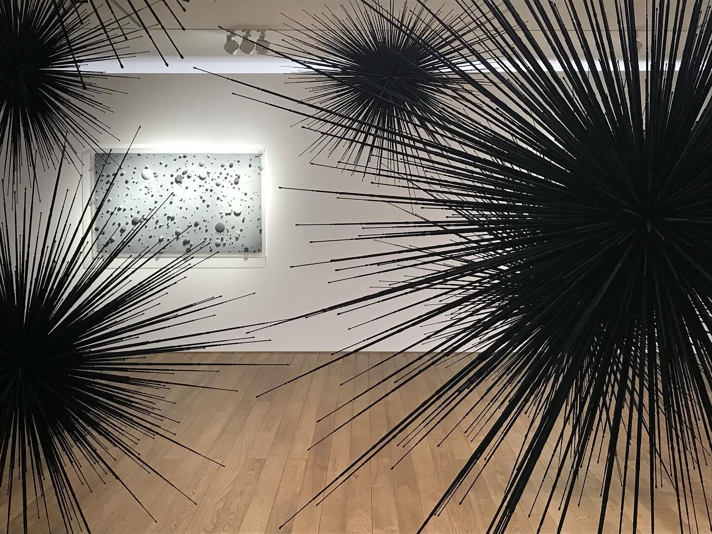 콘텐츠