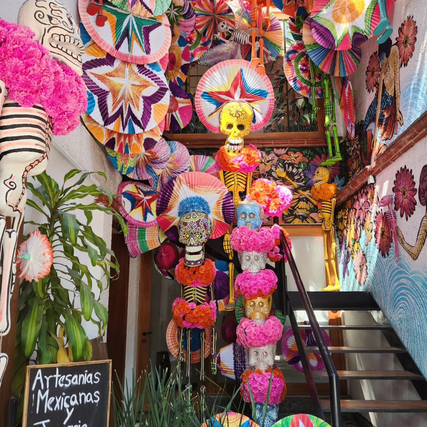 Coyoacán 
햇빛 진짜 싫어해서 밖에도 잘 안나가는데
코요아칸에서는 유달리 해가 좋았어
햇빛속으로 찾아들어갔으니까
색감이 화려해서 지루할 틈이 없었지 💚🤍❤️
⠀

다들 넘 친절하더라.
내가 길이 헷갈려서 두리번하면
도와주려고 바라보고 있고
택시타면 불편하지 않게 기분 좋은 음악과 질문들로 긴장을 풀어주려 노력하던, 
내가 직접 겪은 멕시코시티 시민들-
⠀
멕시코 말만 꺼내도 
괜히 쫄려한 우리는 어떤 멕시코를 봐왔던걸까?
경계없이 다니는 것은 큰 문제고
우리나라 치안이 불안한 건 사실이지만
가기 전 들었던 멕시코시티와 감사하게도 내가 경험한 멕시코는 너무 달랐다. 
내가 운이 좋았던걸지도. 🤞
⠀
#멕시코숙소위치
#멕시코시티숙소위치
다음엔 #코요아칸 쪽으로 숙소를 잡으려고.
걷기 좋고 조용하고 편안한 동네 :)
센트로쪽 호텔은..우리나라 종로느낌이라 호텔이라도 주변은 조금 칙칙하고 시끄러웠거든 -
⠀
#코요아칸여행 #멕시코시티여행 #멕시코여행일정
#프리다칼로박물관근처 #코요아칸산책 #멕시코여행
#멕시코1월여행 #멕시코시티일정짜기