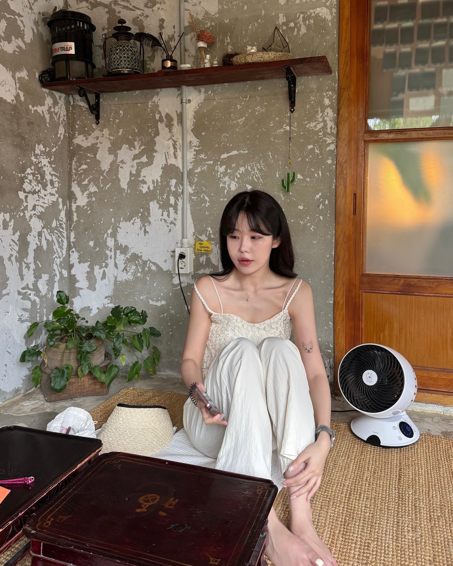 시골집에 온 것 같았던 소길리에서 모모랑 놀기 🏡🌳