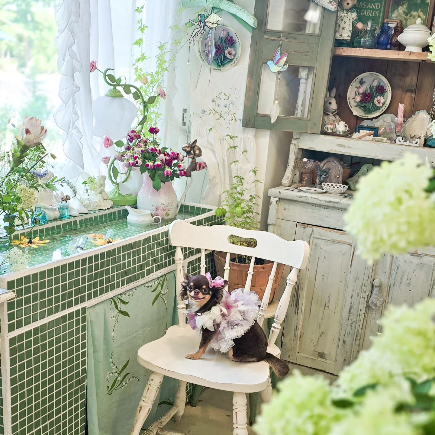 시즌🌷 마다 가서 사진 찍는📷  너무 예쁜 카페(*＞∇＜)ﾉ

울엄마가🩷 젤 좋아하는 수국이🌸 너무 이쁘게 펴서🤗 더욱더 좋았던ヽ(*´∀｀*)ﾉ

이번 시즌 옥수수🌽 망고🥭 에끌레어도 아주 만족(* >ω<)

#소풍을파는가게 #청라애견동반카페 #인천애견동반카페 #인천반려동물동반 #인천여행 #청라애견동반카페 #수국명소 #인천가볼만한곳 #수국카페 #인천수국 #청라브런치카페 #인천애견동반식당