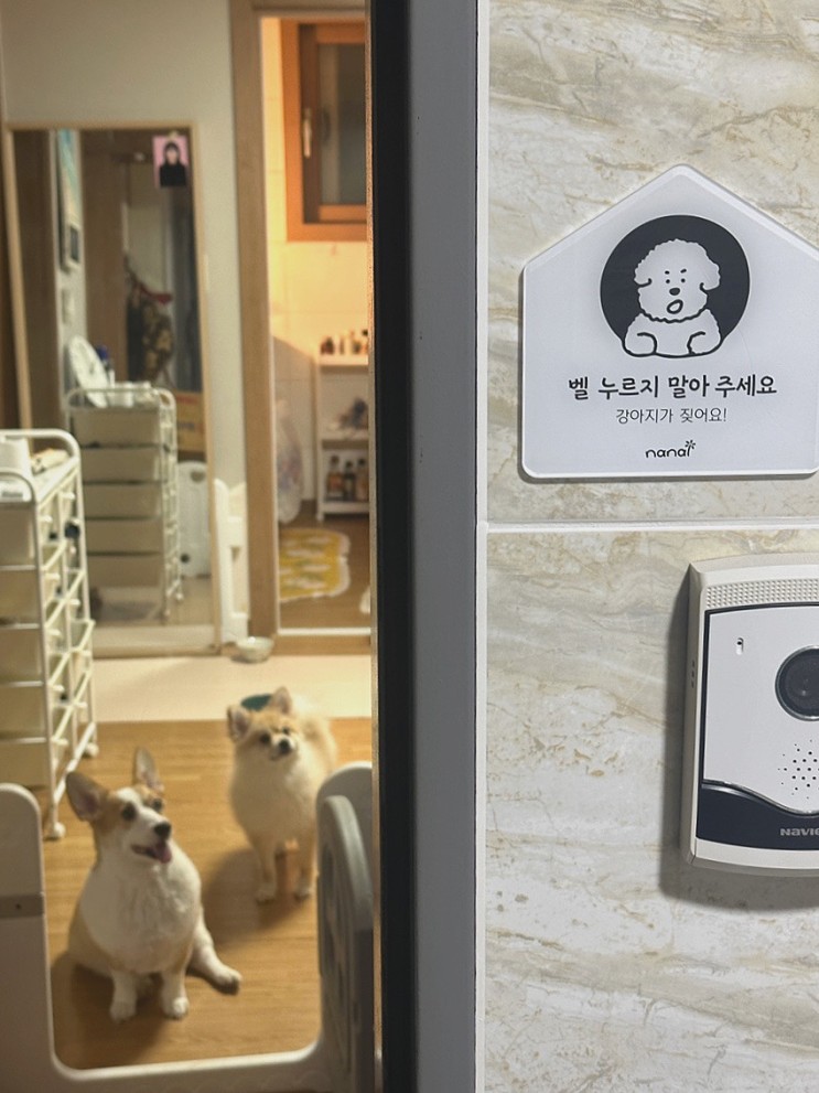 반려동물 필수템 강아지가 짖어요 벨누르지마세요