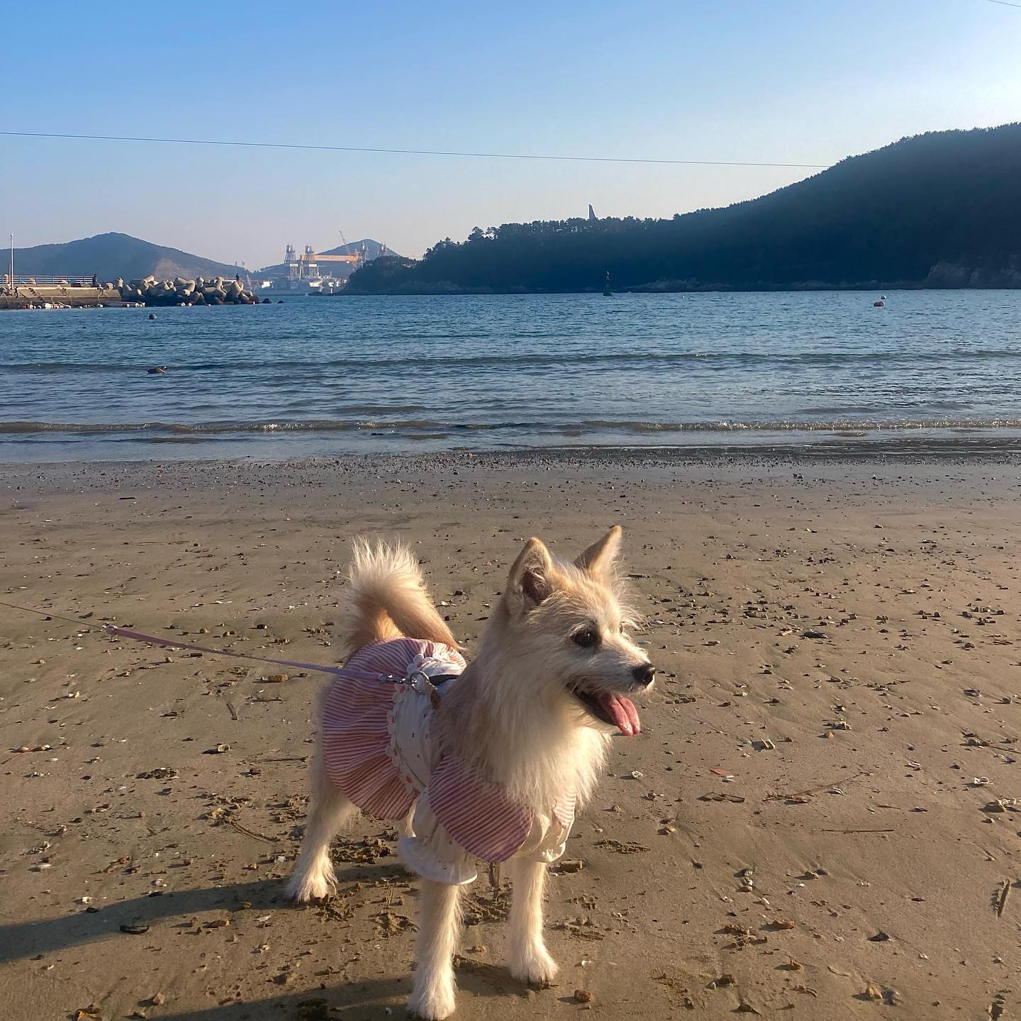 거제 바다🌊