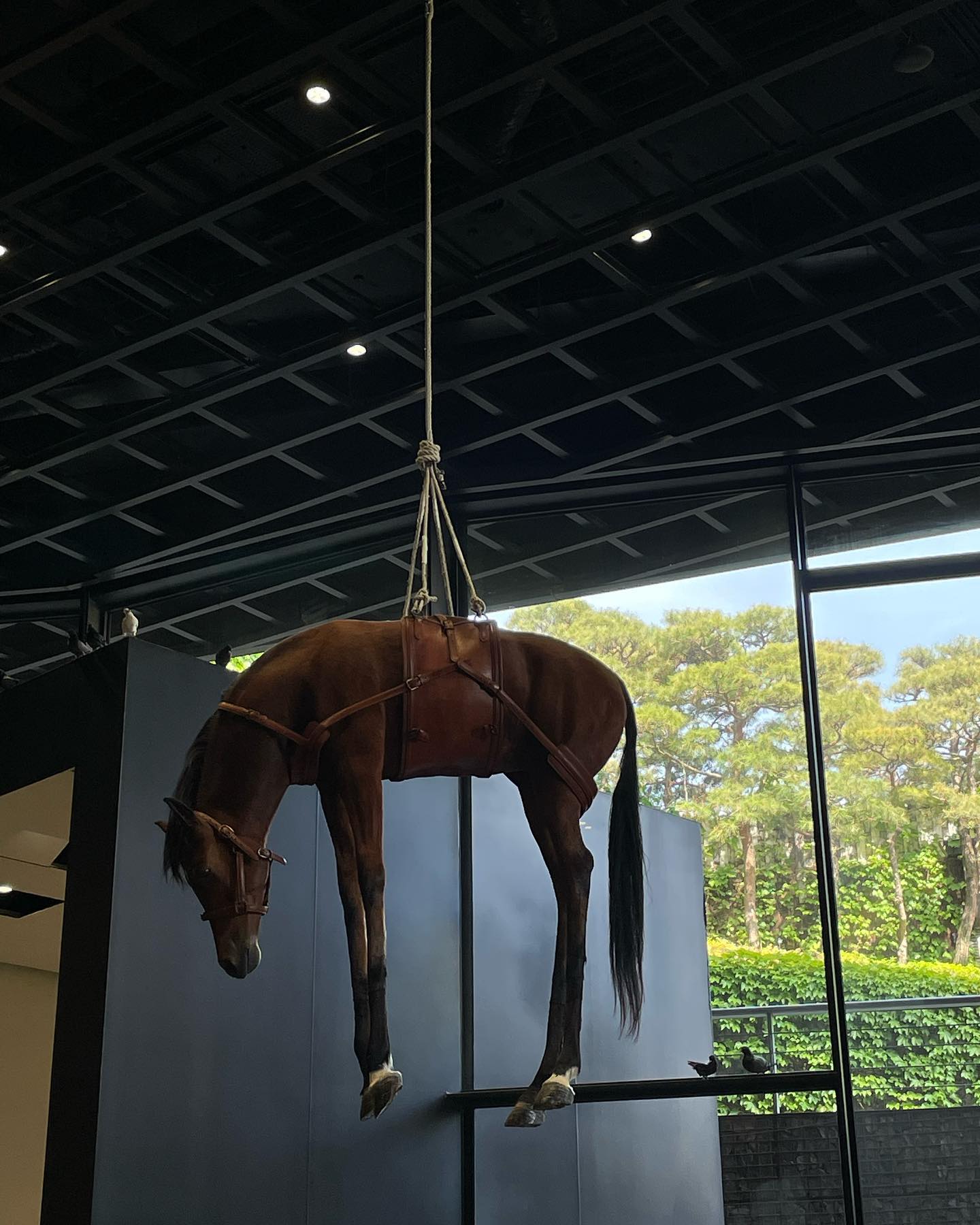 보고 나오면 모든게 전시로 보이는…