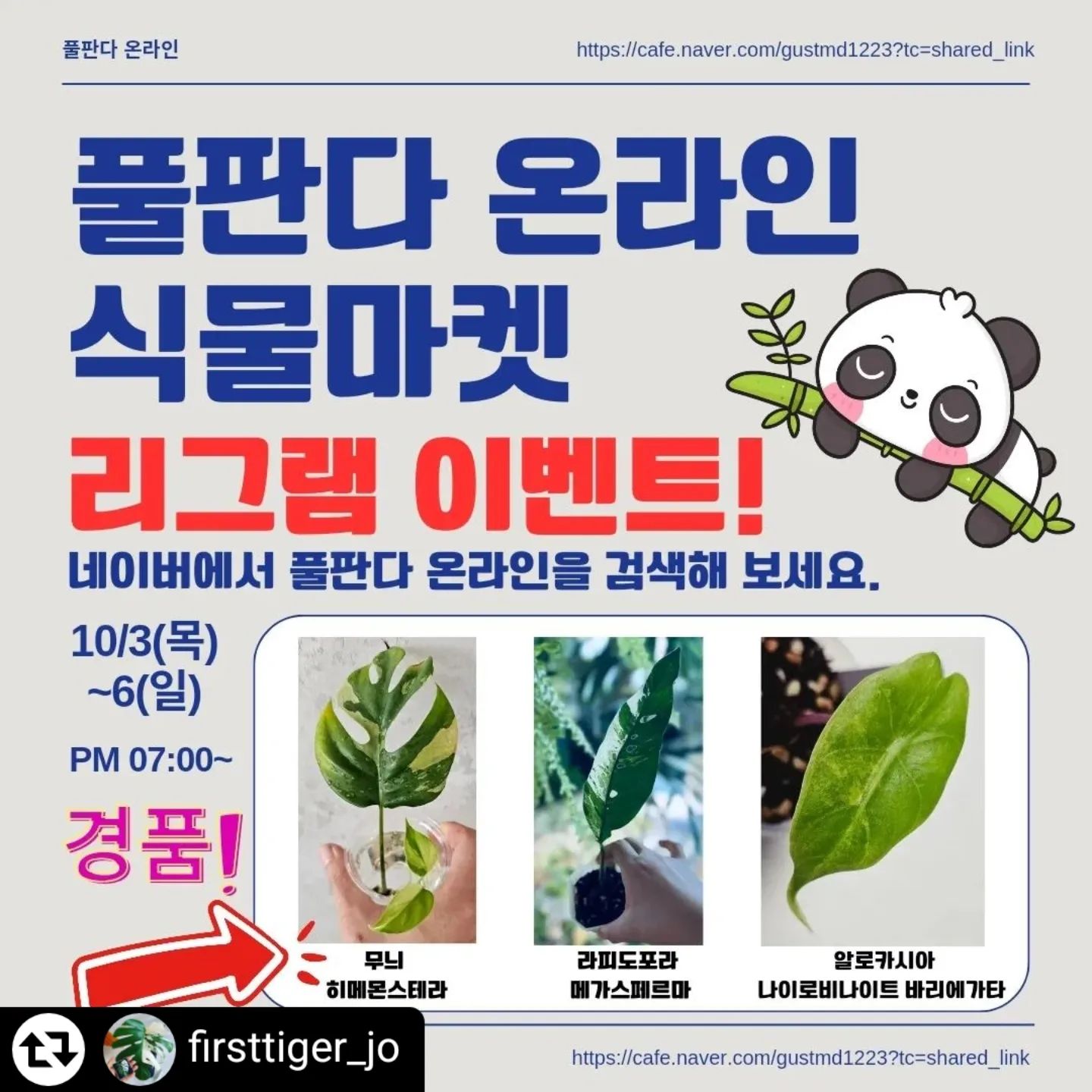 #리그램 - firsttiger_jo by get_regrammer
[리그램 이벤트] 10/3(목)~6(일) 네이버 '풀판다 온라인' 카페에서 온라인 식물마켓이 열립니다. 카페 가입만 하시면 누구나 구매 가능하세요.

자세한 사항은 풀판다 온라인 네이버 카페에서 확인 하실수 있습니다

네이버에서 풀판다 온라인을 검색해 보시거나 프로필에 링크를 클릭하시면 카페로 이동하실 수 있습니다.

이를 기념하여 리그램 이벤트를 진행 합니다.

※ 리그램 참여 방법
1) 본 계정을 팔로우 해주세요.
2) 본 게시물을 좋아요 & 리그램 해주세요.
3) 리그램 후 이 게시글 댓글로 '참여완료'를 남겨주세요.
4) 추첨을 통해 위 경품을 보내 드립니다.

모든 경품은 셀러님들이 협찬해 주셨습니다.

많은 참여 부탁드립니다.

#풀판다 #풀판다온라인 #온라인식물마켓